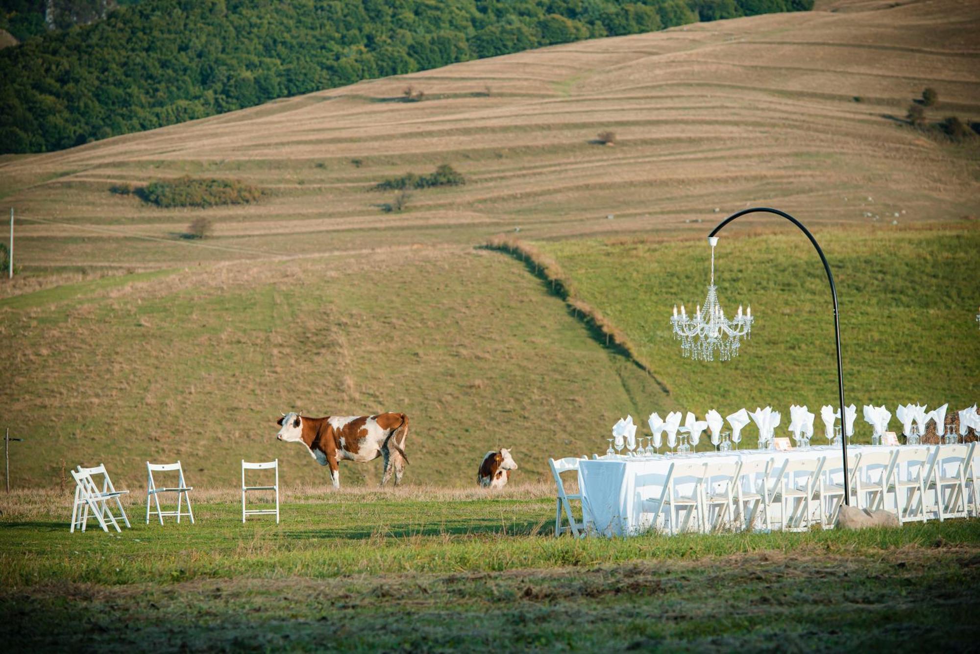 Hotel Ratiu House Turda Zewnętrze zdjęcie